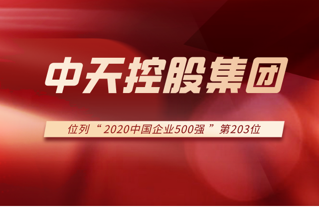 EZPay集团列2020中国企业500强第203位！